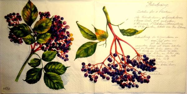 026 Berry - 3 ply (cream) - Ihr